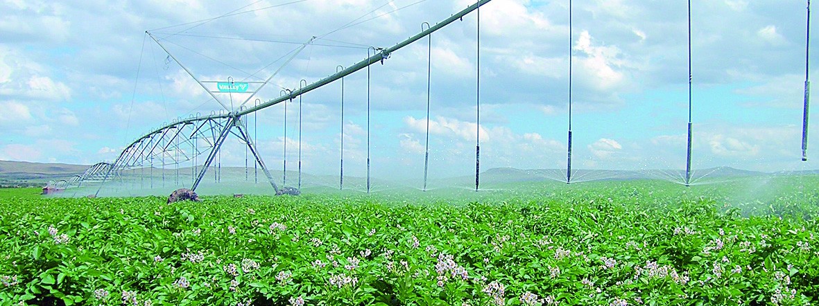 水肥一體化現(xiàn)場(chǎng)圖 水肥一體化現(xiàn)場(chǎng)圖