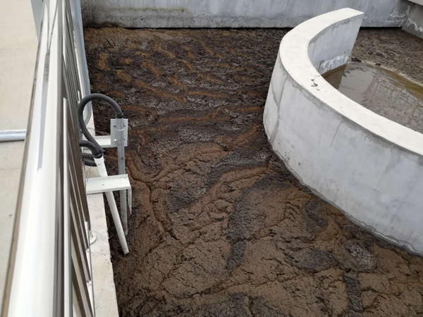 氧化溝工藝現(xiàn)場(chǎng) 氧化溝工藝現(xiàn)場(chǎng)